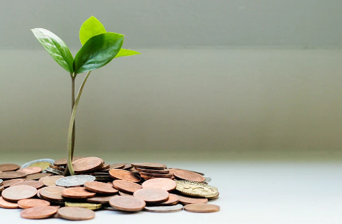 Pelajari Konsep dan Prinsip-Prinsip Asuransi Sekarang Untuk Dapatkan Perlindungan Finansial untuk Masa Depan